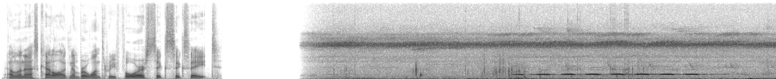 Bartameisenpitta - ML134668