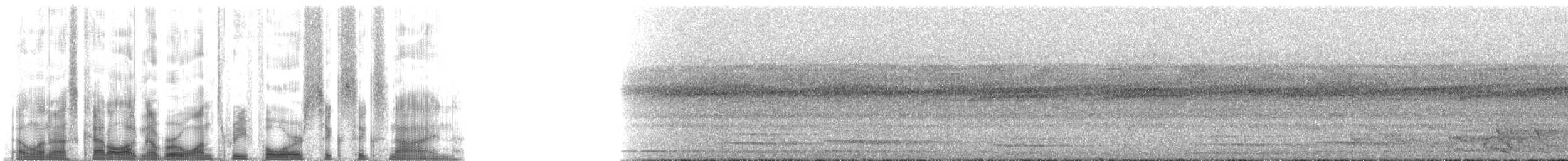 Variegated Tinamou - ML134669