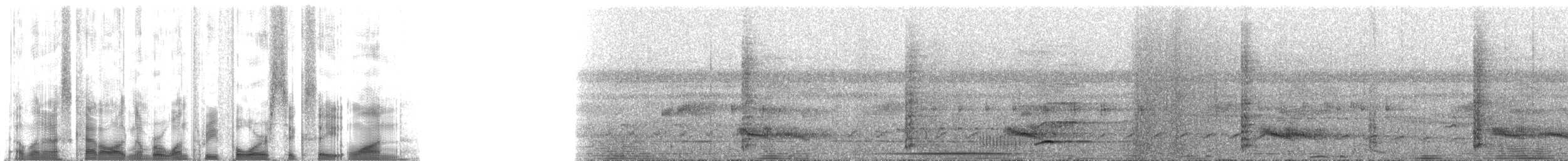 Channel-billed Toucan (Channel-billed) - ML134681
