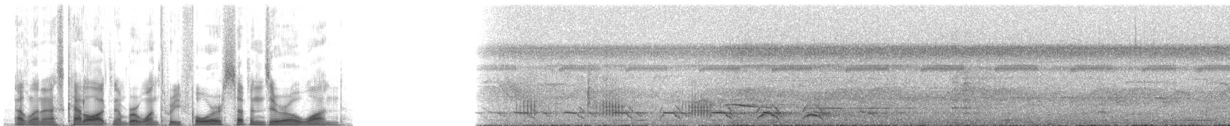 Тукан гвіанський - ML134701