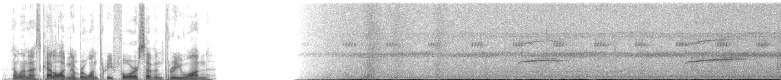 Tolmomyias sp. - ML134731