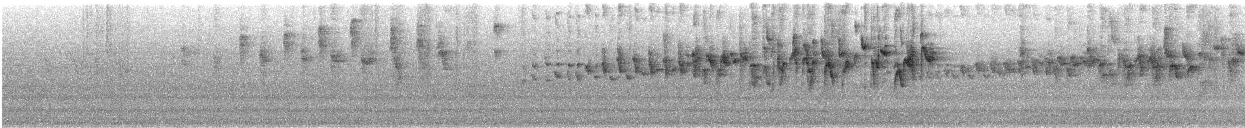 Paruline triligne - ML134751231