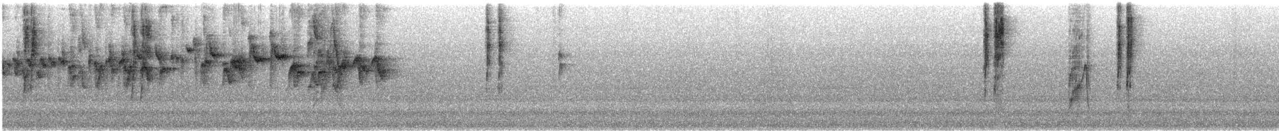 Коронник смугастоголовий - ML134751241