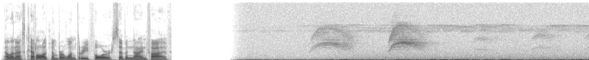 Пестрокрылый мухоед (examinatus) - ML134795