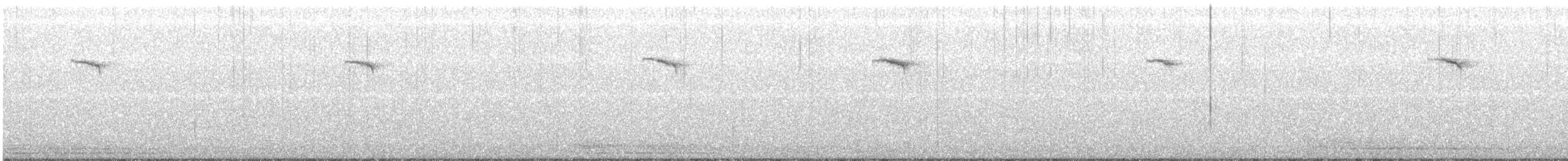 Дрізд-короткодзьоб плямистоволий - ML134800271