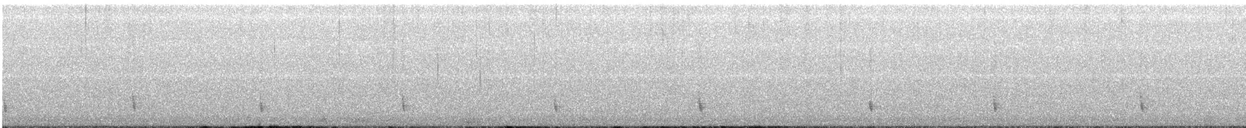 Дрізд-короткодзьоб плямистоволий - ML134800571
