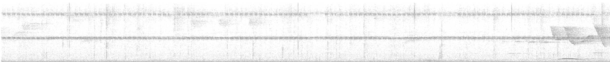 holub neotropický - ML134808151