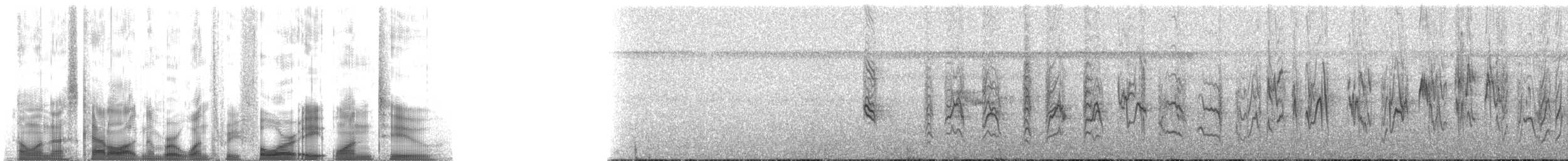 Зерноїд плямистокрилий - ML134812