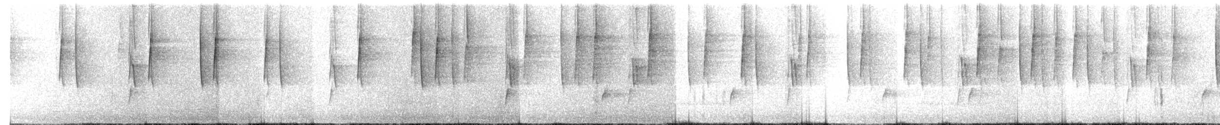 Синегрудый фиалкоух - ML134882811