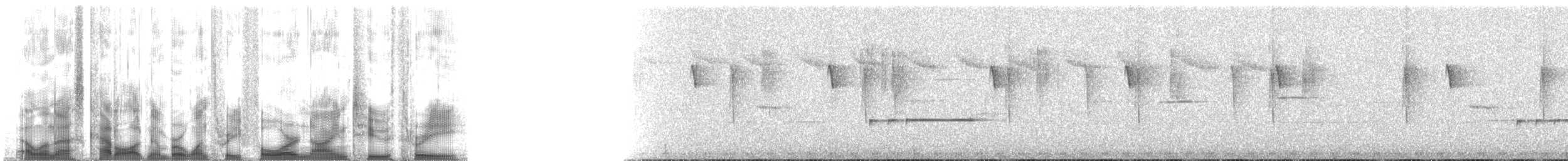 Колібрі-шаблекрил пантепуйський - ML134923