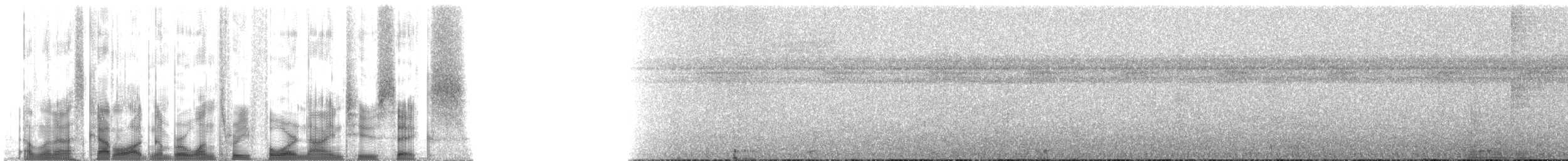 Коронник річковий (підвид mesoleuca) - ML134926