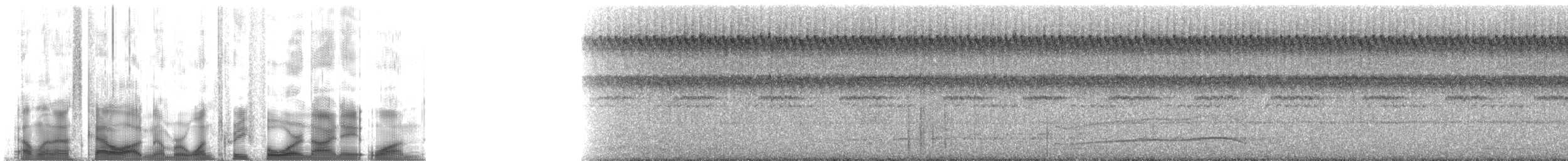 Дроздовая сельвиния [группа turdina] - ML134981