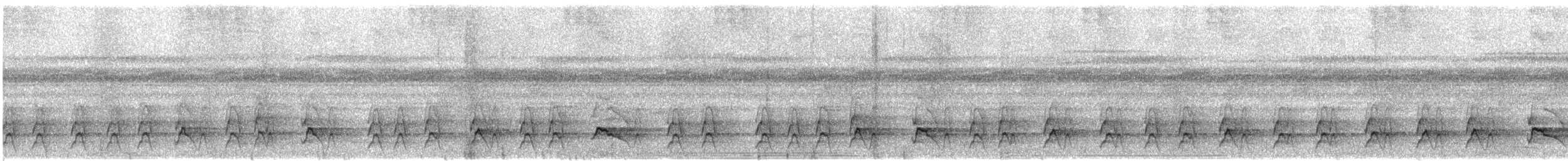 Weißstirn-Faulvogel - ML135009051