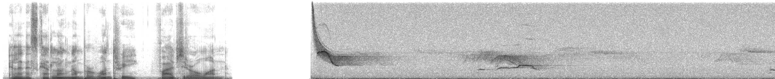 Eichelhäher [bispecularis-Gruppe] - ML13501