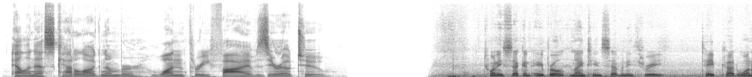 Southern Nutcracker - ML13502