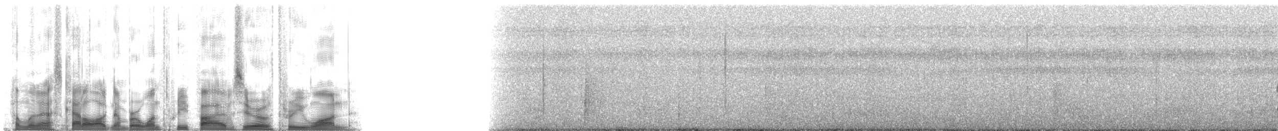 Tolmomyias sp. - ML135031