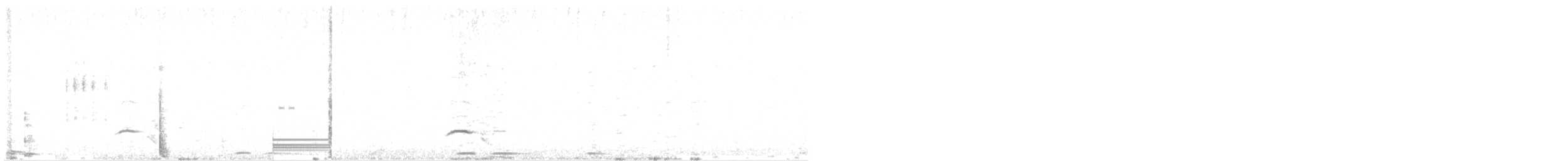 Длинноклювый конёк (similis/travancoriensis) - ML135036521