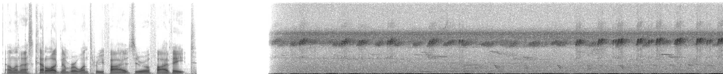 Tinamou à calotte noire - ML135058