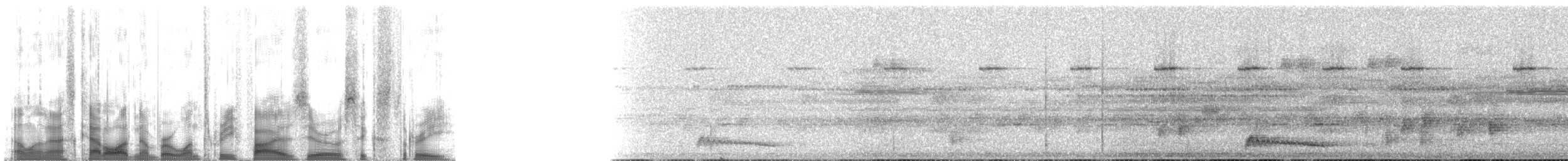 Augennachtschwalbe - ML135063