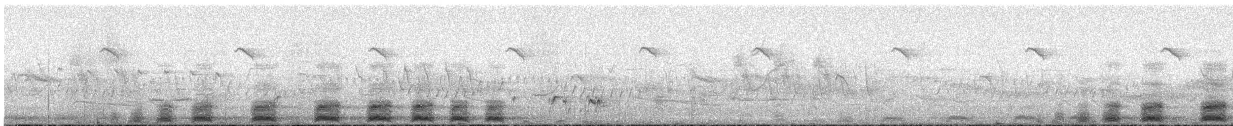 turako keňský - ML135070231