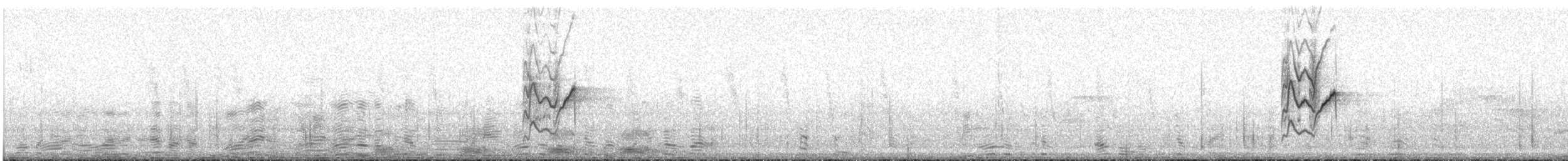 zvonohlík proužkovaný - ML135070281