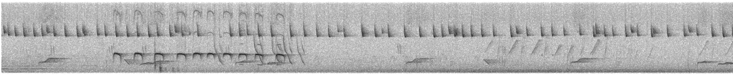 White-browed Nuthatch - ML135110211