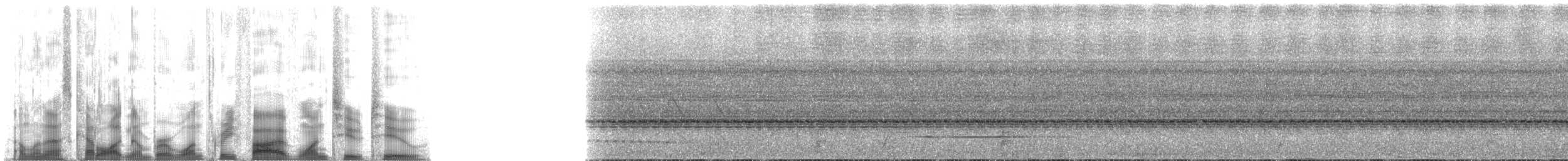 Black-capped Tinamou - ML135122