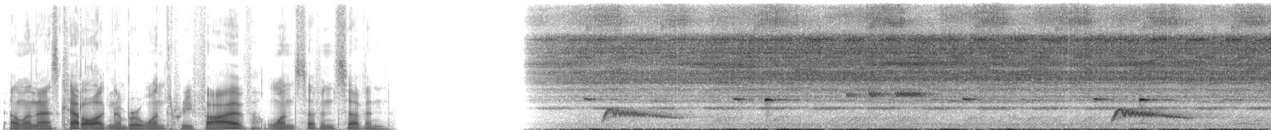Augennachtschwalbe - ML135177