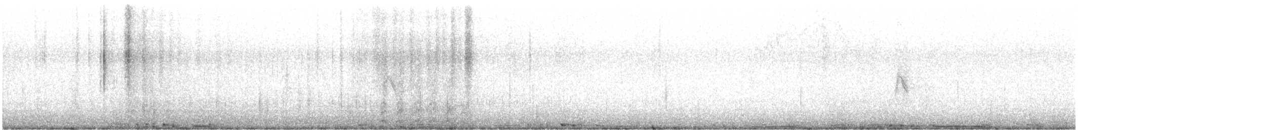 Rock Pigeon (Feral Pigeon) - ML135198591