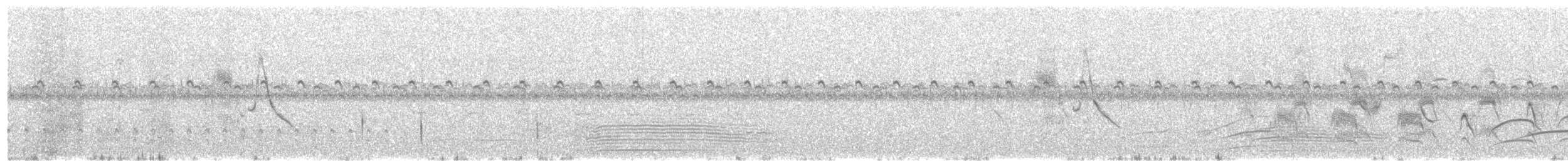Чернокрылая монашка - ML135208341
