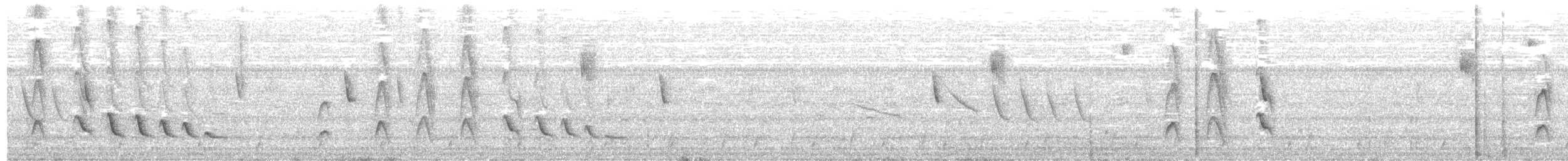 Белокрылый бекард - ML135208611