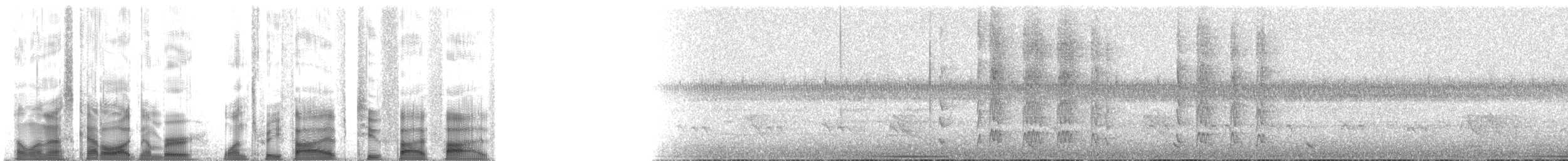 Тиранчик-мухолюб рудогрудий (підвид amazonus/peruanus) - ML135255