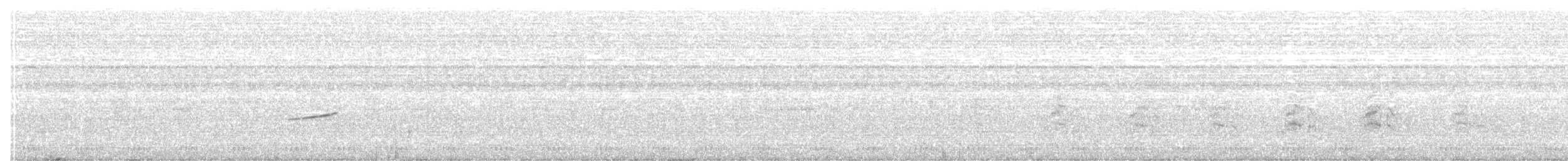 Weißscheckenentyrann - ML135281001