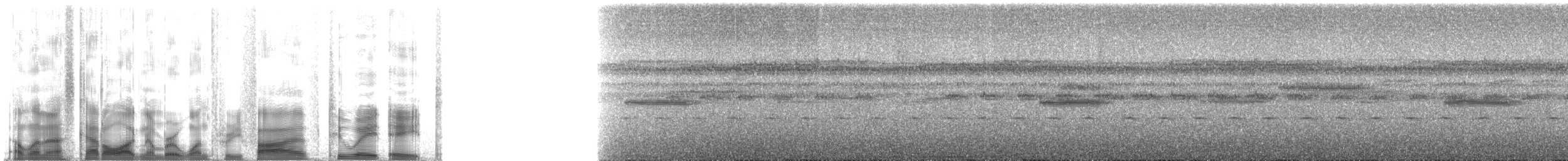 Gray Tinamou - ML135288