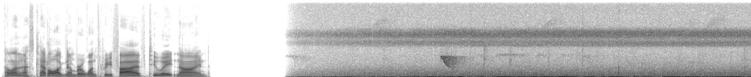 Gray Tinamou - ML135289