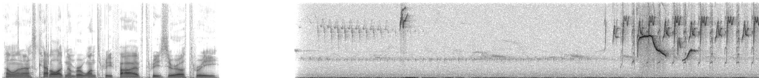 Alev Karınlı Dağ Tangarası (igniventris) - ML135303