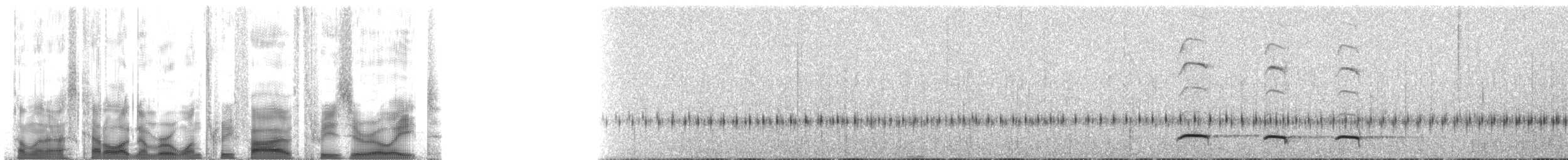 Al Beyaz Yerçavuşu - ML135308
