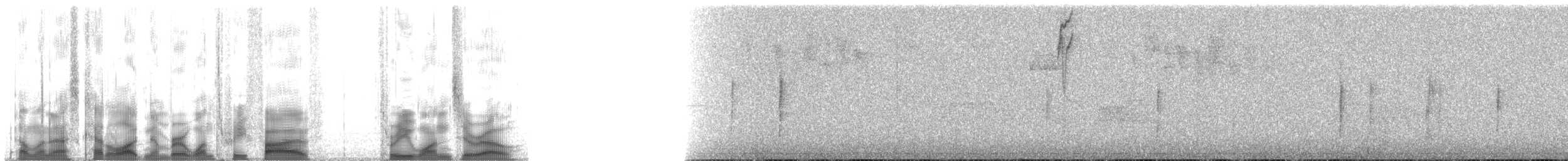 Alev Karınlı Dağ Tangarası (igniventris) - ML135310