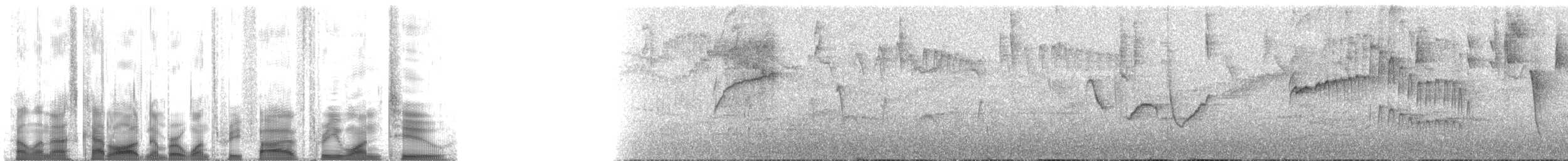 Ak Kaşlı Hemispingus (urubambae) - ML135312