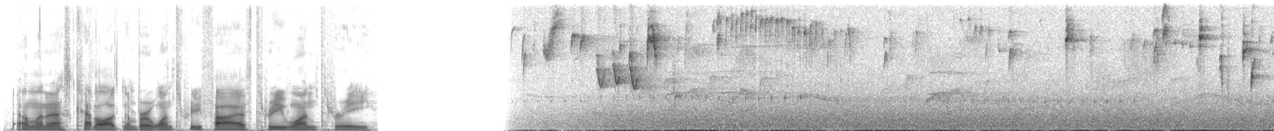 Kara Takkeli Hemispingus (auricularis) - ML135313