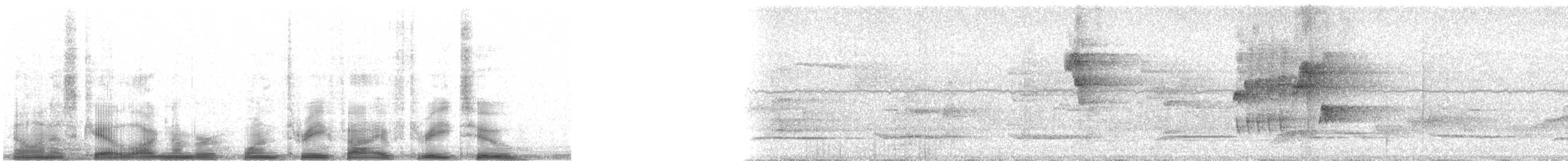 Дроздик жовтоногий - ML13532