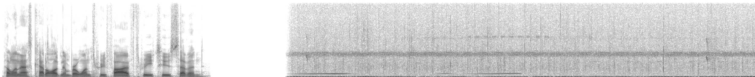 Tinamou tataupa - ML135327