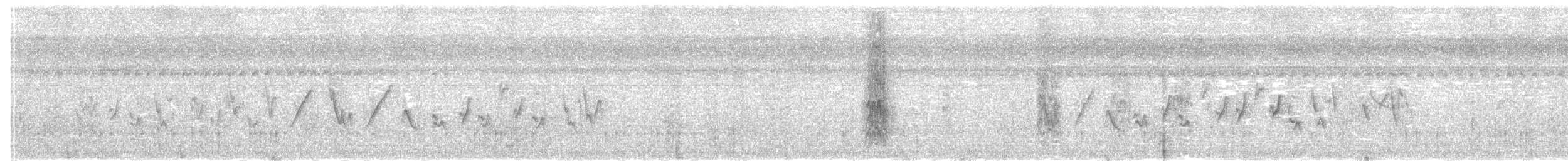 Зерноїд масковий - ML135331251