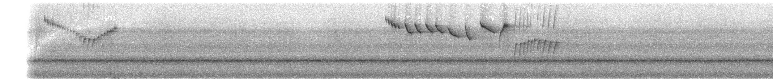 Band-tailed Barbthroat - ML135342801