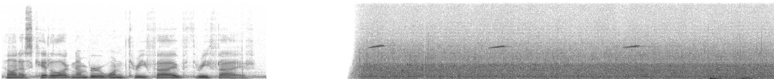 Plumbeous Redstart - ML13535