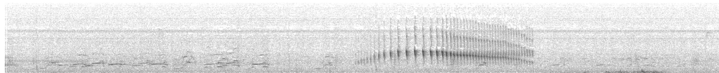 Кривоклювый камышник - ML135372501
