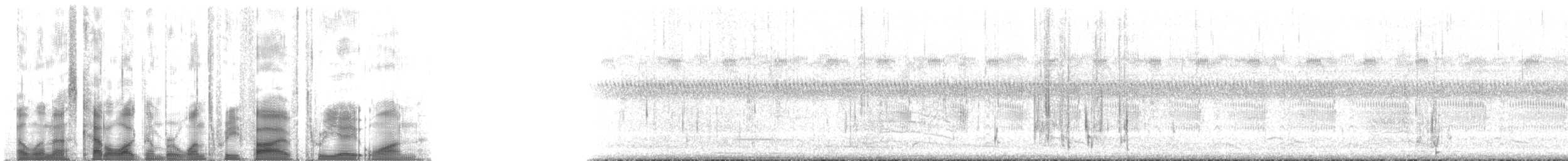 Ібіс білий - ML135381