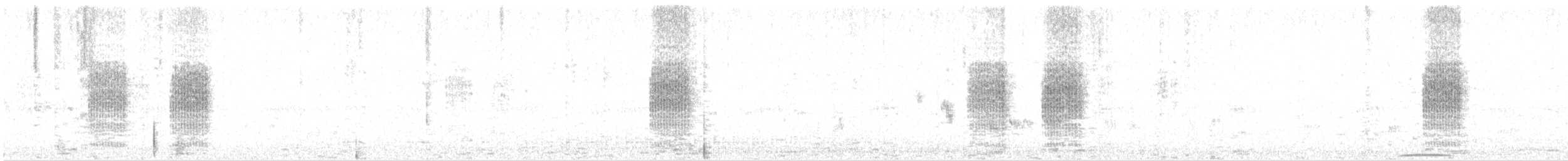 Bay-backed Shrike - ML135393971