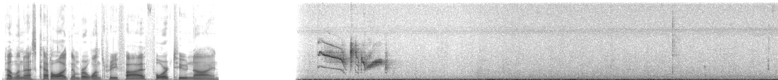 Vireo Ojiblanco (grupo griseus) - ML135429