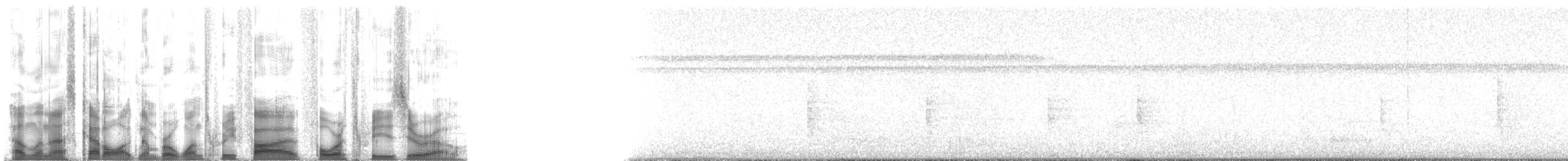 Ібіс білий - ML135430